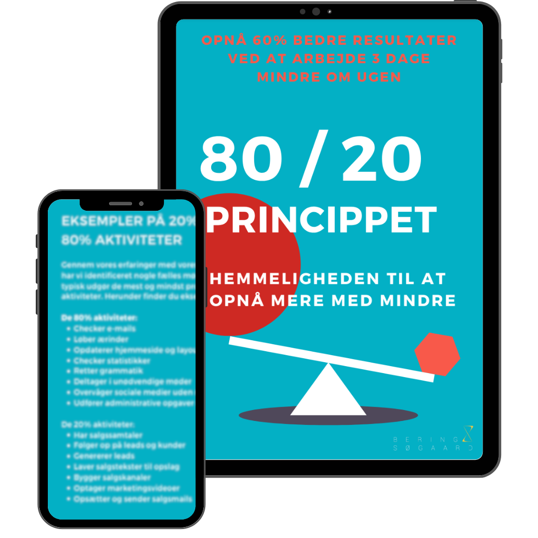 80-20 princippet 1